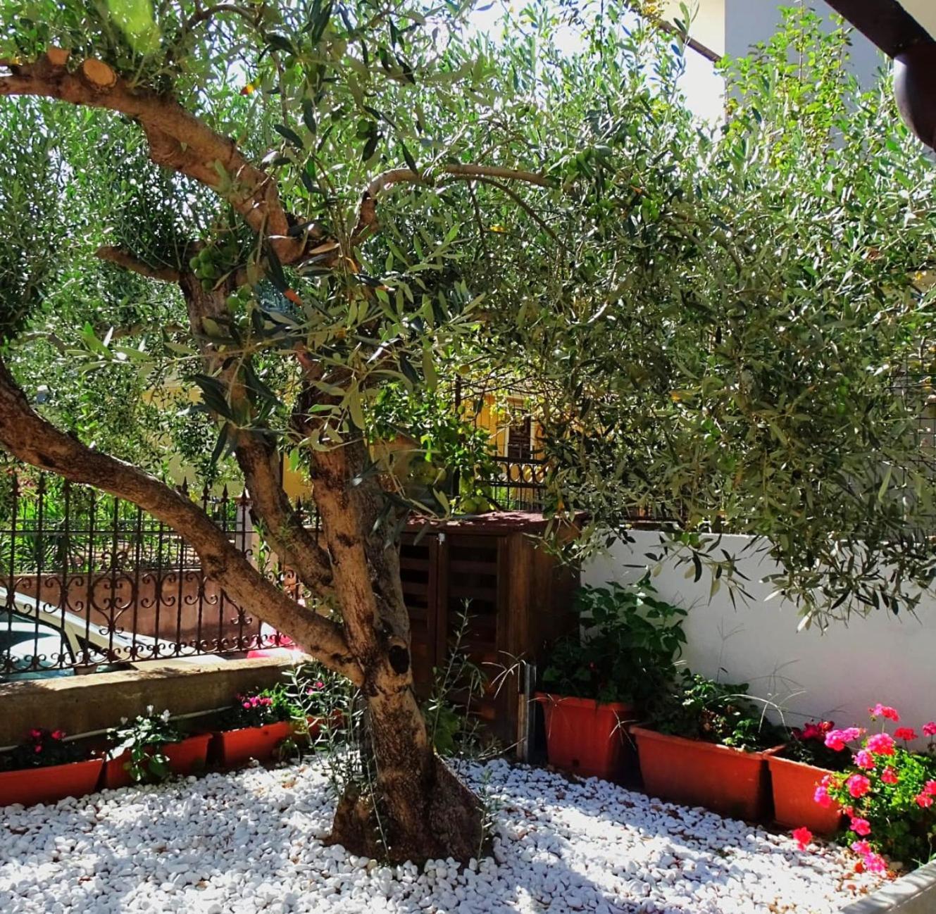 Le Sorgenti Guest House Ilbono Ngoại thất bức ảnh
