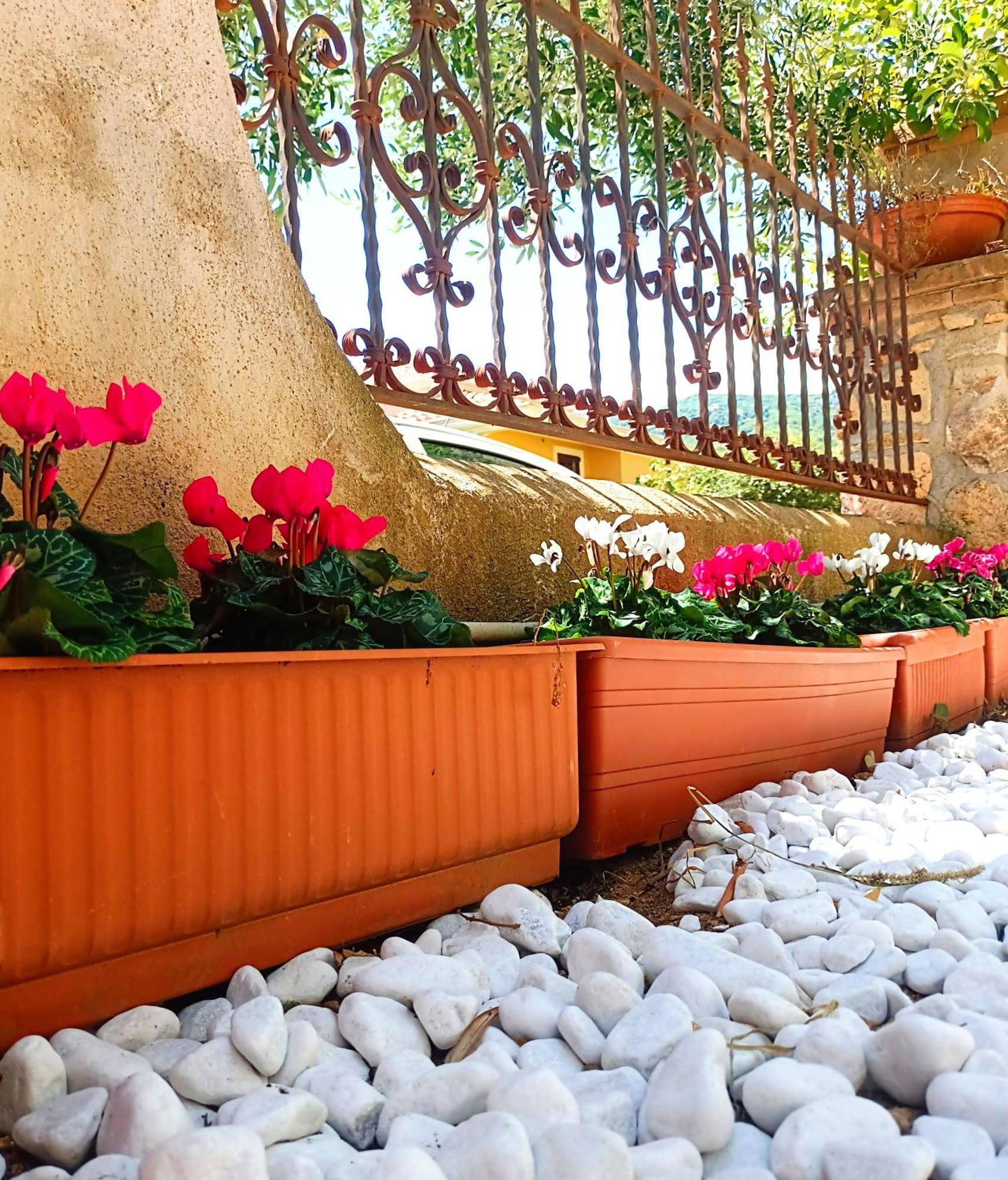 Le Sorgenti Guest House Ilbono Ngoại thất bức ảnh